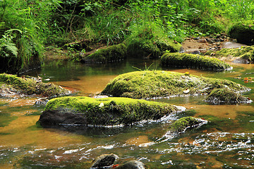 Image showing river in the czech forest
