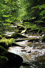 Image showing river in the czech forest