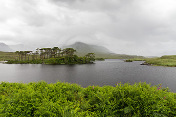 Image showing view to island in lake or river at ireland