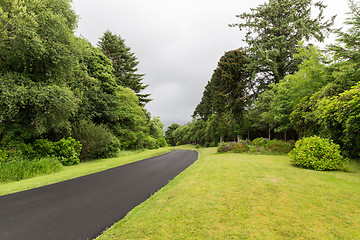 Image showing asphalt road at connemara in ireland