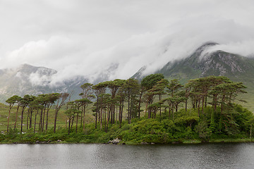 Image showing view to island in lake or river at ireland