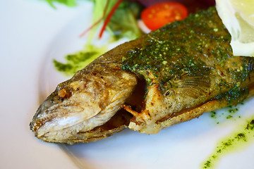 Image showing grilled trout fish