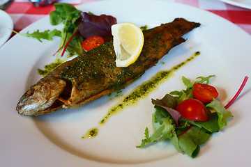 Image showing grilled trout fish