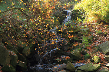 Image showing small autumn brooklet