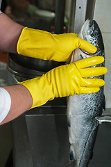 Image showing cleaning salmon fish