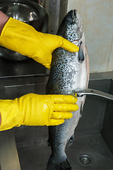 Image showing cleaning salmon fish