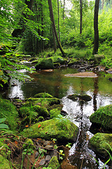 Image showing river in the czech forest