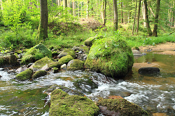 Image showing river in the czech forest