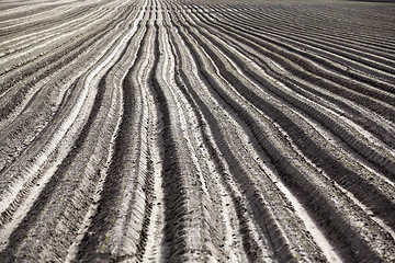 Image showing plowed field, furrows