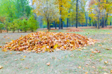 Image showing autumn in the park