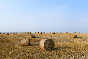 Image showing haystacks in a field of straw