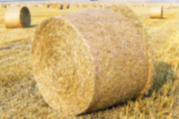 Image showing haystacks in a field of straw