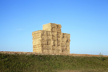 Image showing stack of wheat straw