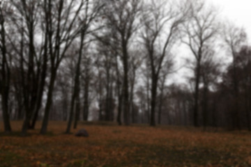 Image showing Autumn Park, overcast