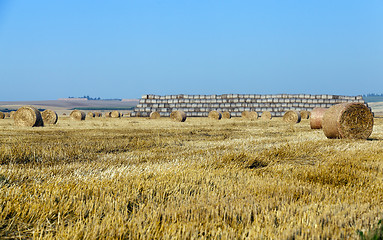 Image showing haystacks in a field of straw