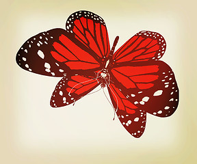 Image showing Butterfly. 3D illustration. Vintage style.