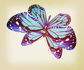 Image showing Butterfly. 3D illustration. Vintage style.