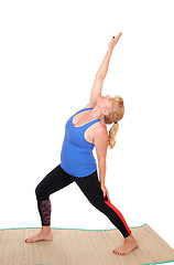 Image showing Yoga trainer showing poses.