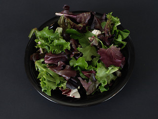 Image showing Leafy Salad