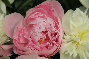 Image showing Peony wedding bouquet