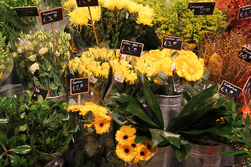 Image showing Various flowers in a flower shop