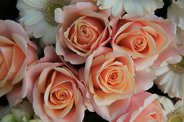 Image showing Pink wedding roses