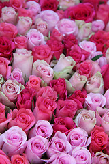 Image showing Pink wedding roses