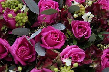 Image showing purple pink roses