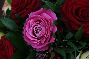 Image showing Multicolored roses