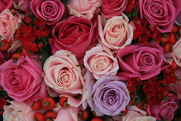 Image showing Bridal roses in pink and purple