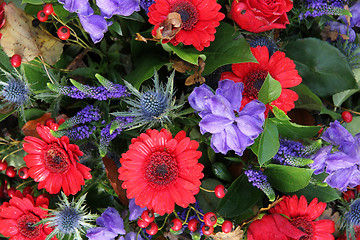 Image showing Flower arrangement in red and blue