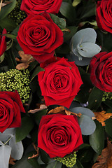 Image showing Dark red roses