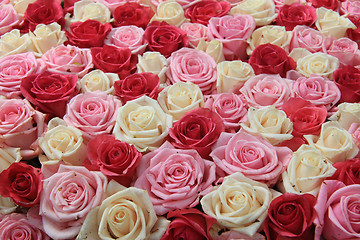 Image showing White and pink roses in arrangement