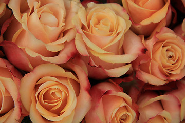 Image showing Multicolored wedding roses