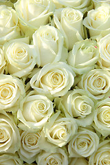 Image showing Group of white roses, wedding decorations