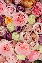 Image showing Mixed pastel roses