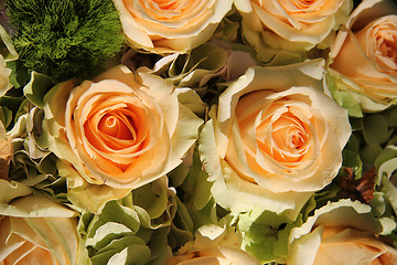 Image showing Pale pink bridal flowers