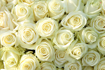 Image showing Group of white roses, wedding decorations