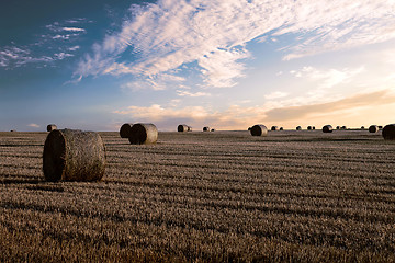 Image showing harvested field with straw bales in summer