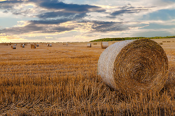 Image showing harvested field with straw bales in summer