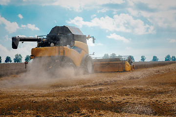 Image showing Yellov harvester on field harvesting gold wheat