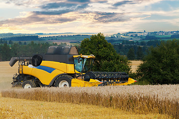 Image showing Yellov harvester on field harvesting gold wheat