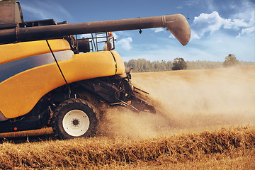 Image showing Yellov harvester on field harvesting gold wheat