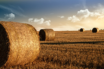 Image showing harvested field with straw bales in summer