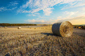 Image showing harvested field with straw bales in summer