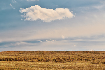 Image showing harvested field fith cloud on blue sky