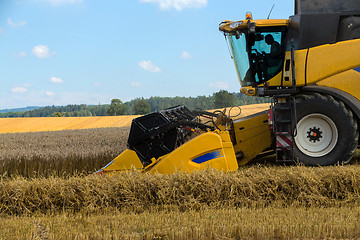 Image showing Yellov harvester on field harvesting gold wheat