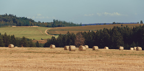 Image showing harvested field with straw bales in summer