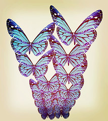 Image showing Butterflies. 3D illustration. Vintage style.