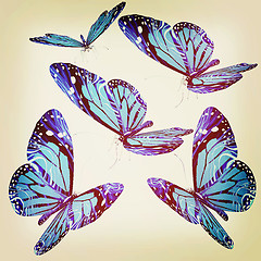 Image showing Butterflies. 3D illustration. Vintage style.